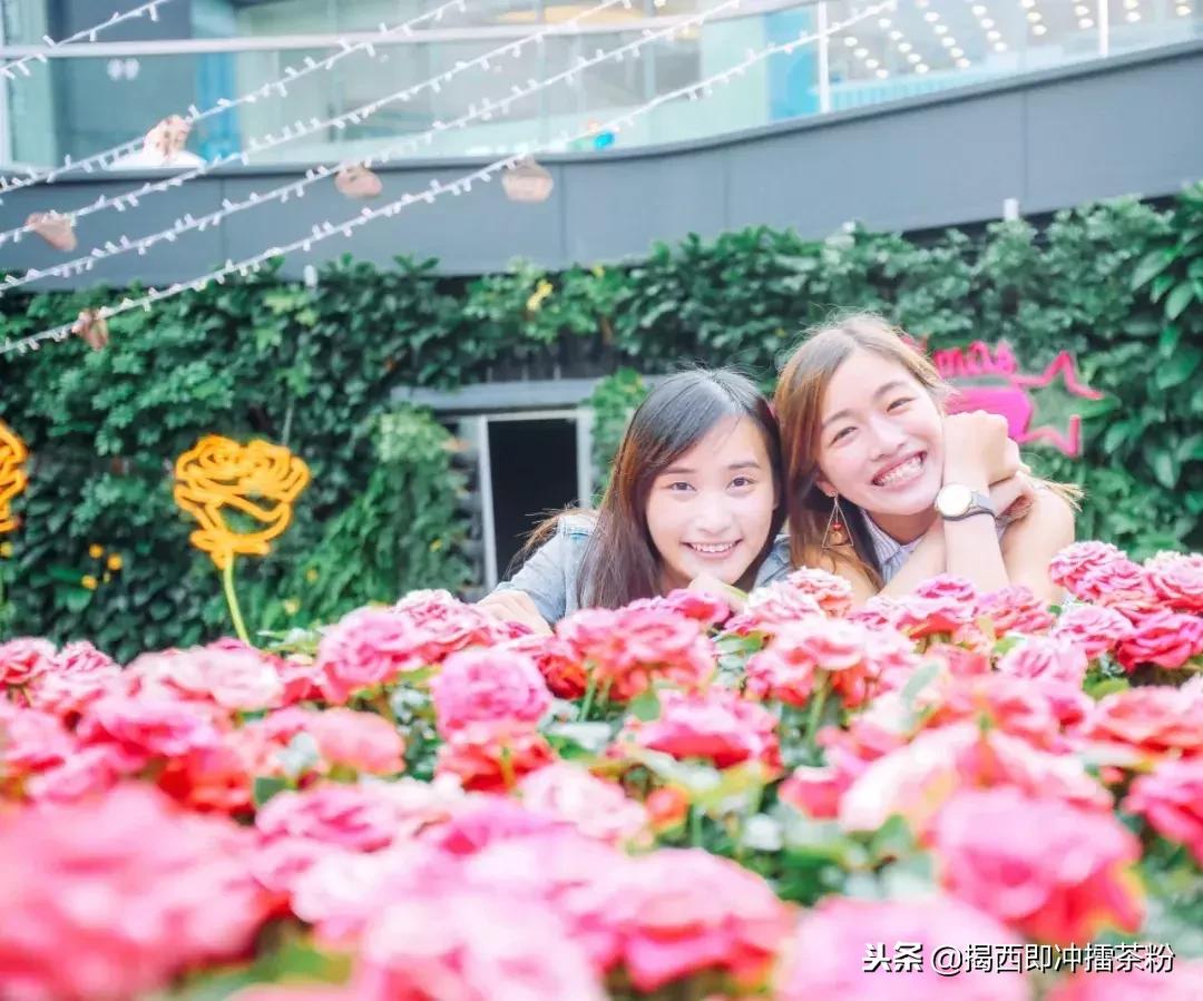 过分美丽！圣诞灯饰点亮香港：泰迪熊、比卡超、布丁狗陪你过圣诞