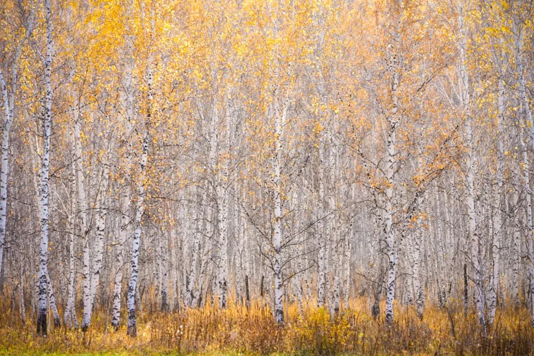 户外十大经典路线,全国最受欢迎的旅游线路