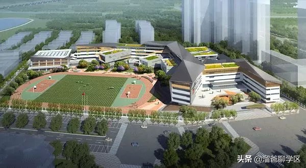 大源板块学校,大源片区最好的小学