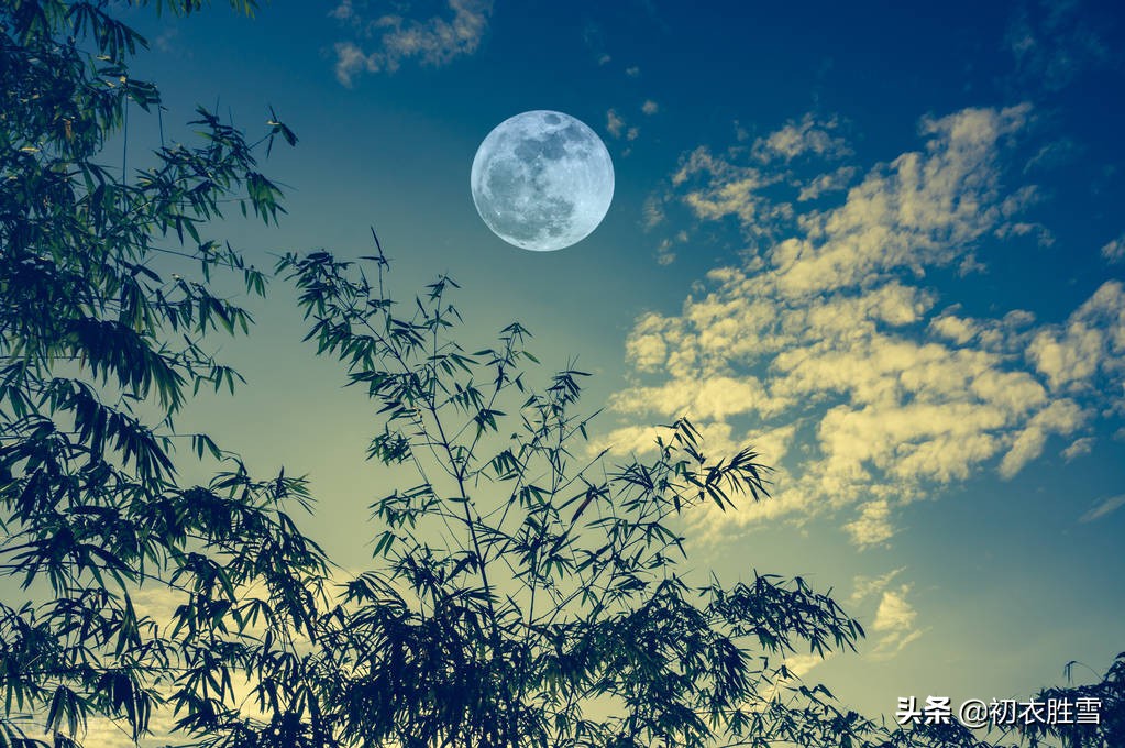 夏季夜晚月亮的诗词,夏日月亮诗句大全唯美