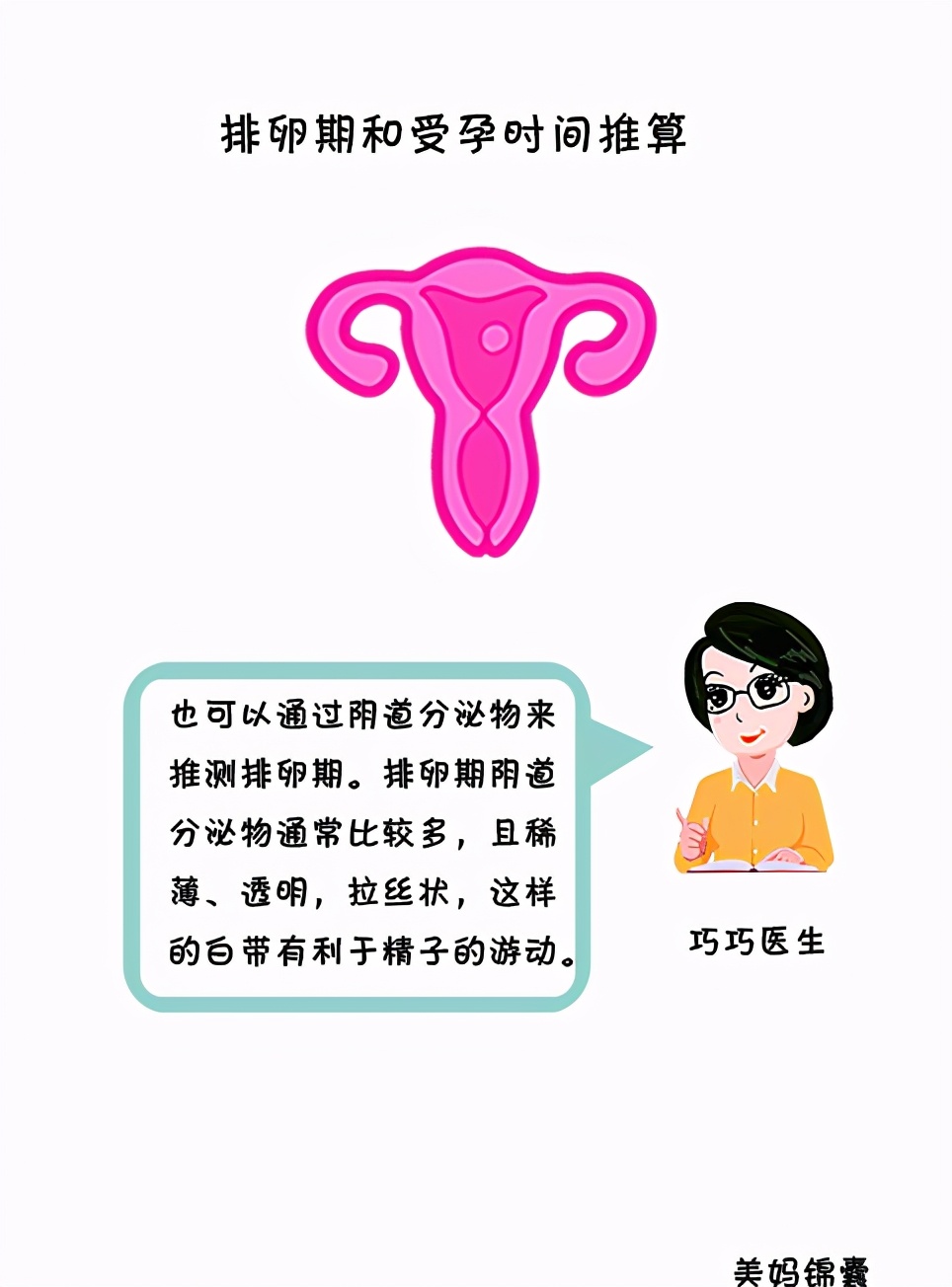 怎么计算排卵期最佳时间,排卵期什么时间段受孕最佳