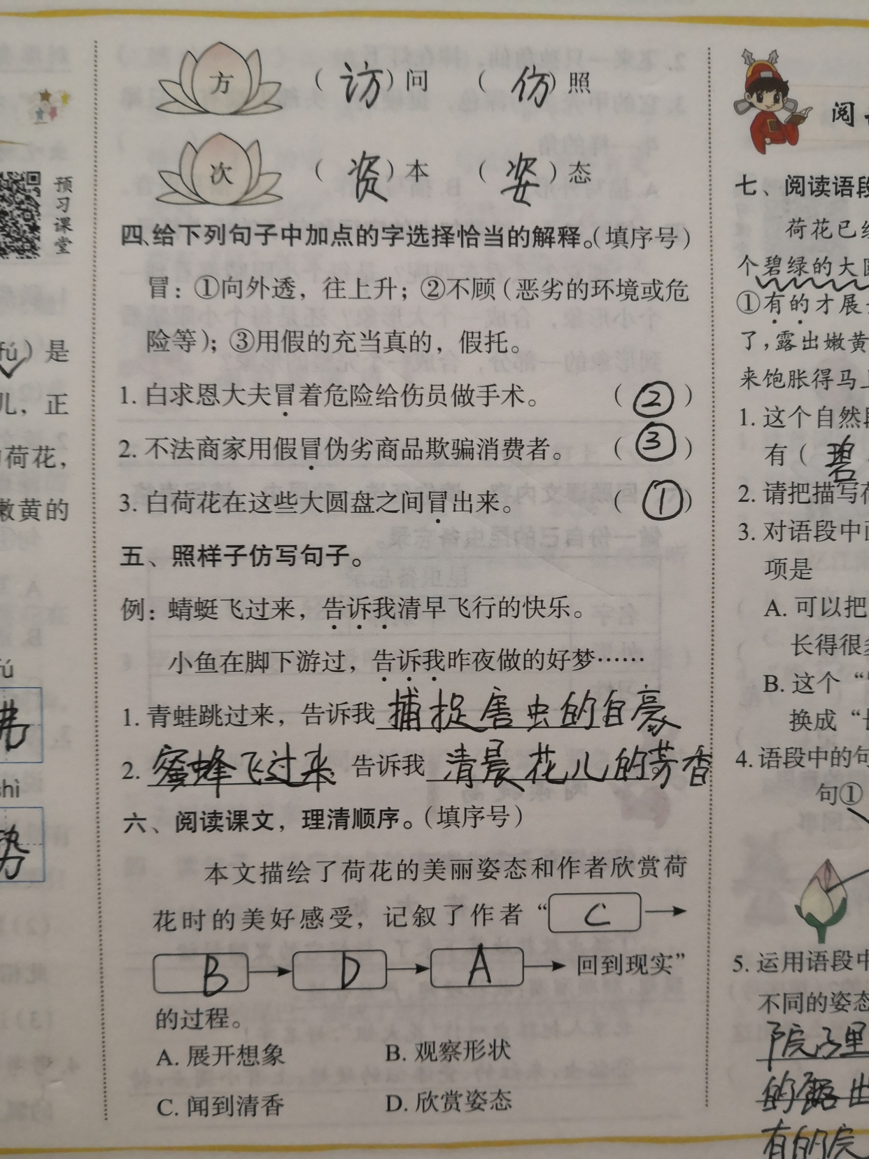 三年级下册语文荷花预习笔记,星凝老师