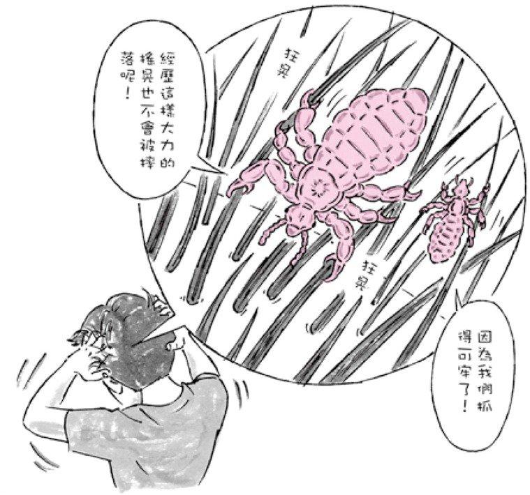 虱子和阴虱样子一样吗,阴虱头虱体虱能用一样的药吗