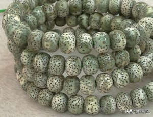 新手星月菩提适合买多大的,星月菩提4大禁忌