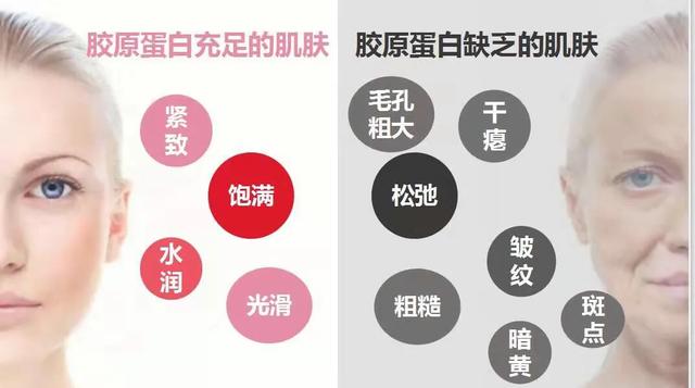 补充胶原蛋白是智商税吗,吃肉皮能补充胶原蛋白吗