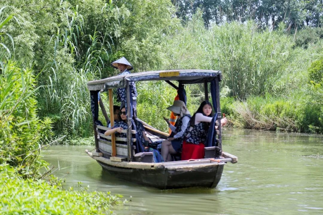 上海避暑周边一日游推荐,上海一日度假地方推荐