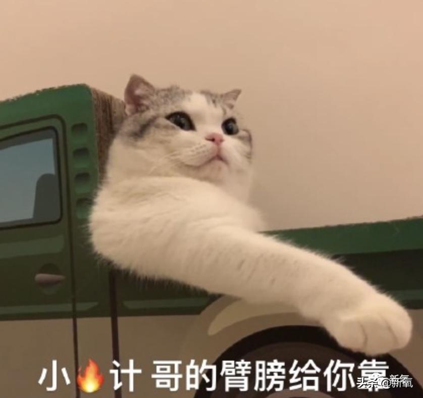 杨超越还能撑多久,杨超越遇到的真实事件