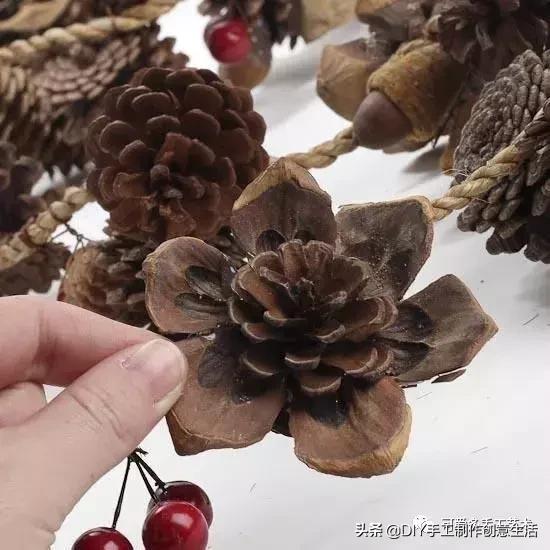 坚果壳吃完不要扔垃圾桶,坚果果壳做手工