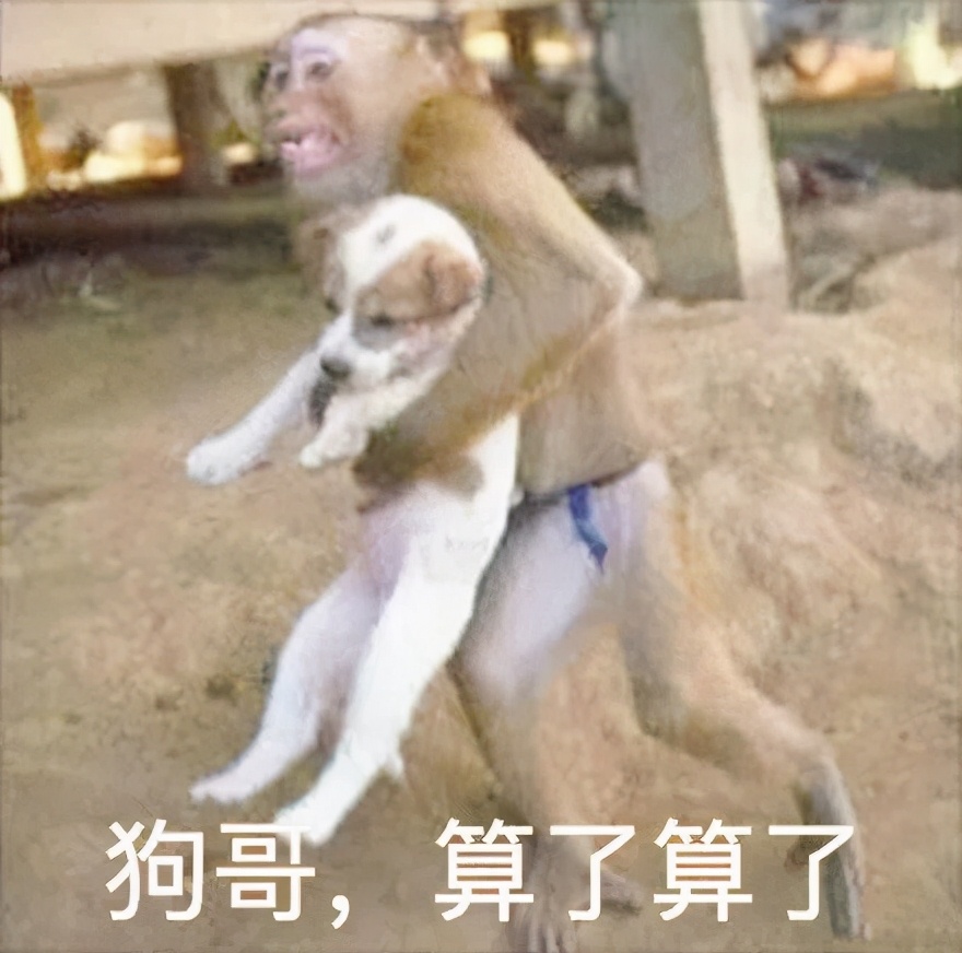 哈尔滨养犬登记证办理流程,家里养狗证件去哪里办