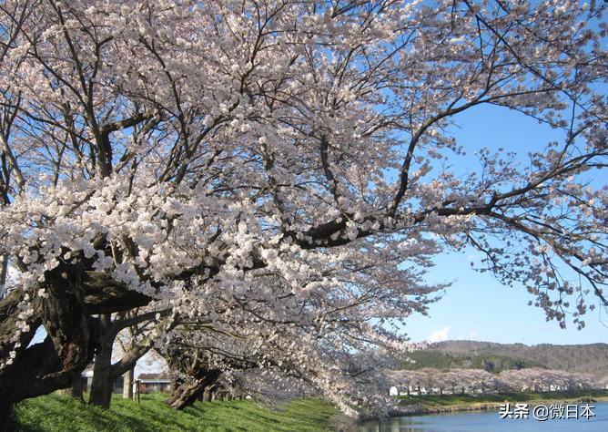 日本关东地区攻略,日本东北要塞游玩