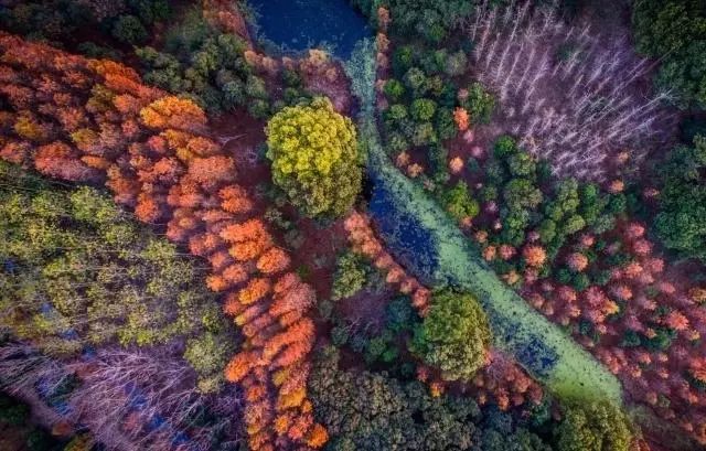 上海国庆小众旅行攻略路线图,上海出发国庆旅游攻略推荐