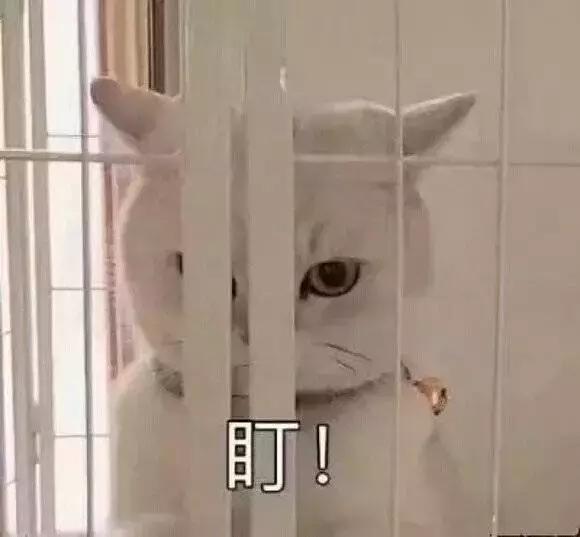 自考捷径,什么自考正规