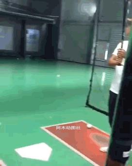 搞笑动图gif狗,搞笑动图gif沙雕