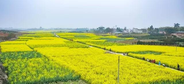 成都小众网红打卡地,成都最值得去的小众打卡地