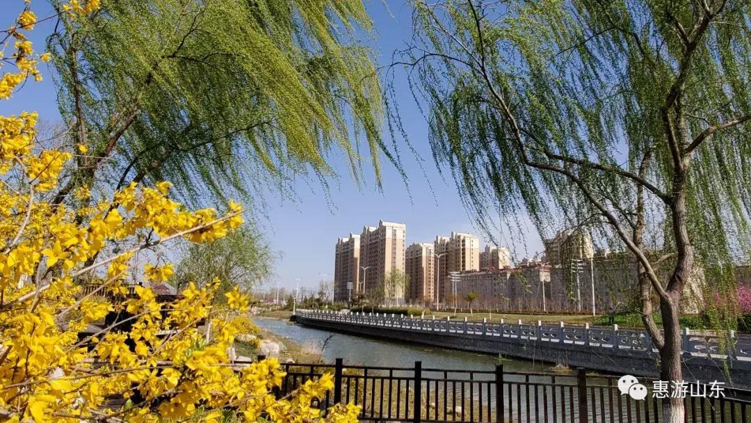 春到泉城之泉城公园,大美宁阳复圣公园