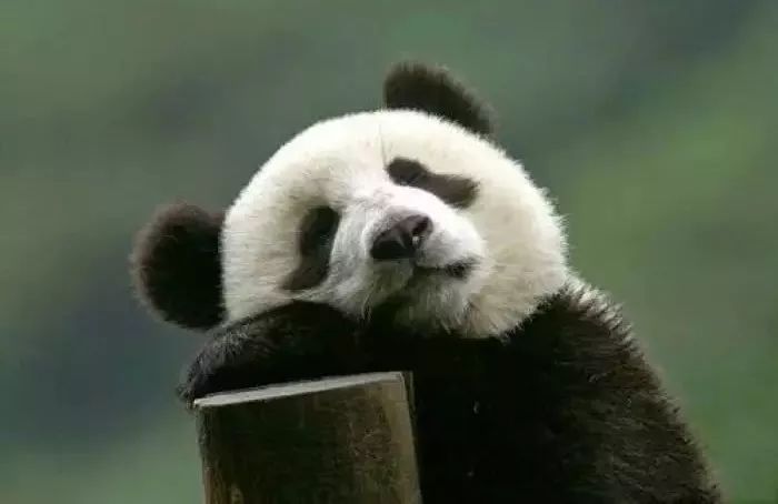 角膜损伤美瞳,为什么美瞳损害角膜