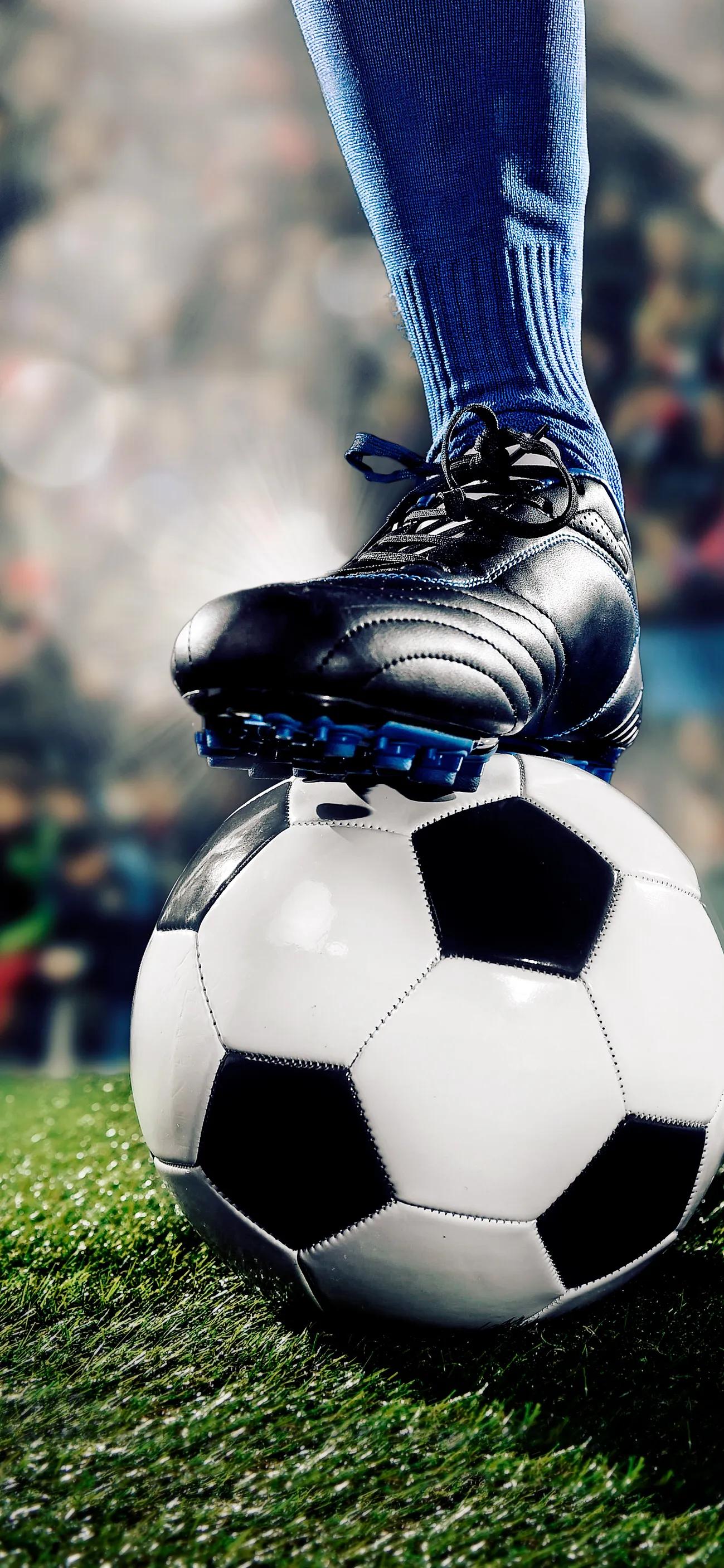 98世界杯高清壁纸,看世界杯图