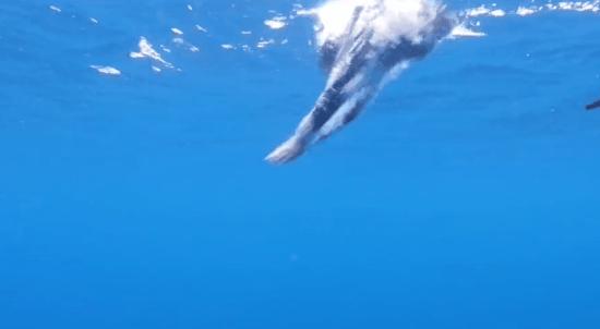 在死海沉浮，探秘无人岛，真正的航海生活比书里精彩一百倍