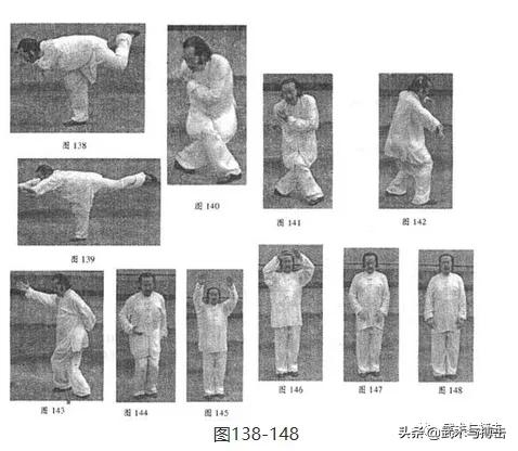 纯阳拳龙心掌视频,纯阳八步龙心掌