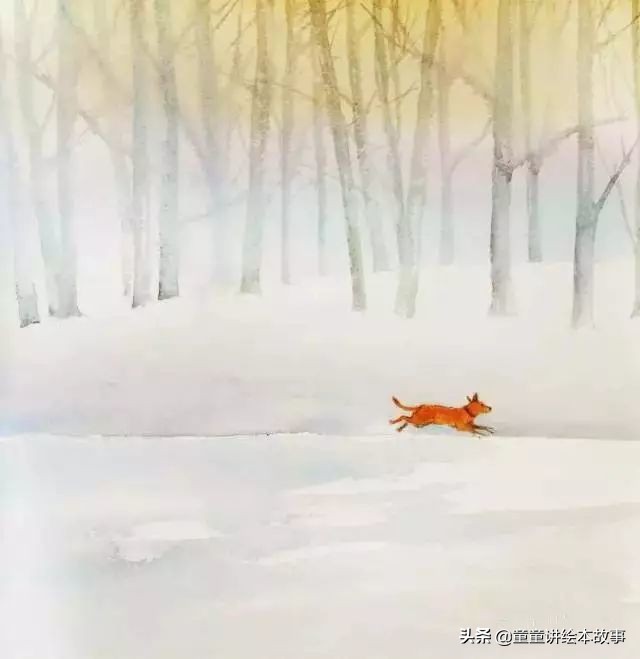 绘本故事有声小熊进城,绘本故事大城市里的小象