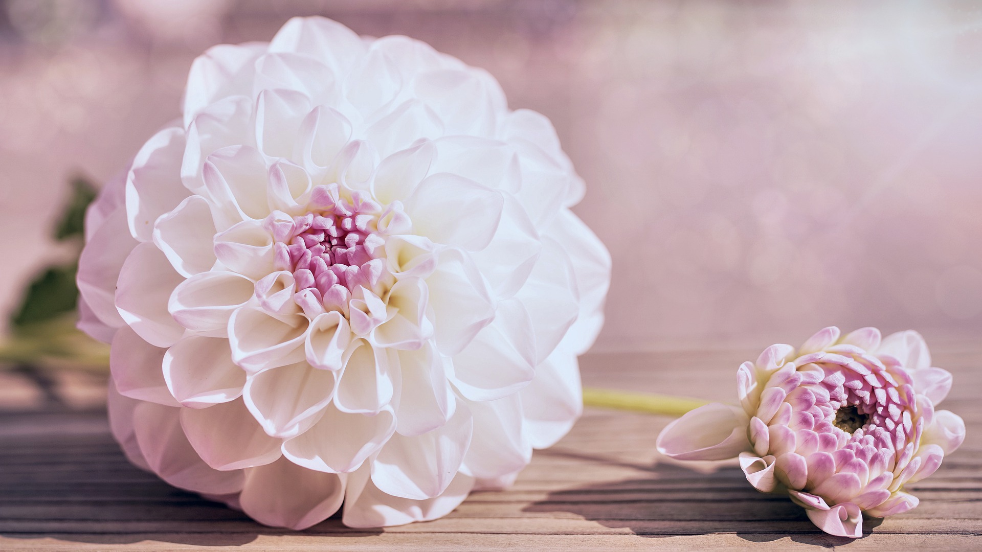 中年女人故意给你机会的表现,中年女人认定你后会这样暗示你