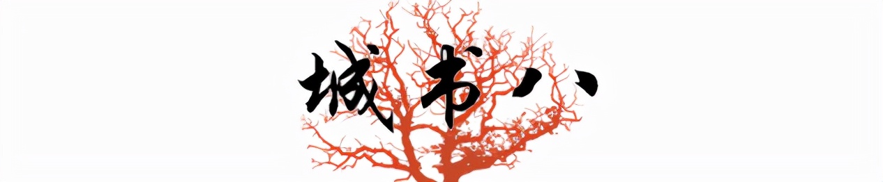 网红第一人罗玉凤,网红罗玉凤现象