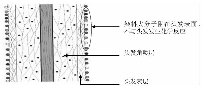 你知道吗古代的染发,古人染发有几种颜色