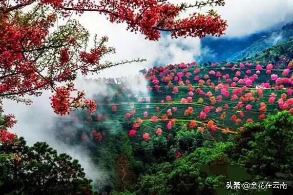 大理什么时候旅游最好,大理一年四季温度是多少