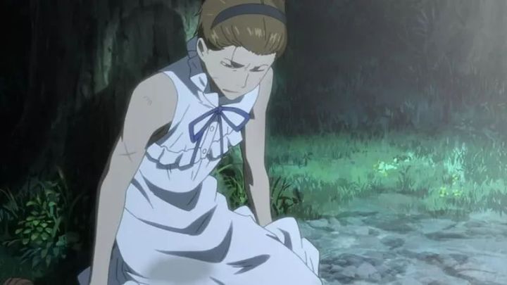 青春盛夏，是那朵花的季节——浅谈《未闻花名》