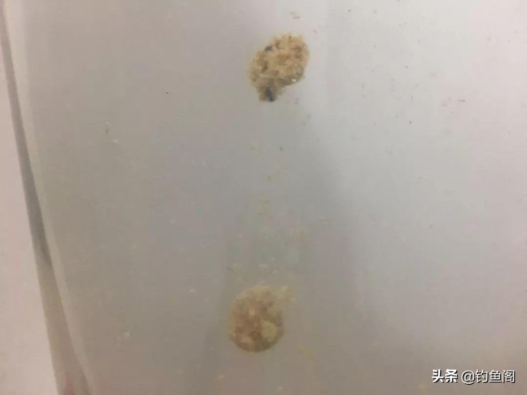 饵料状态很重要,饵料调好后怎么减轻饵料比重