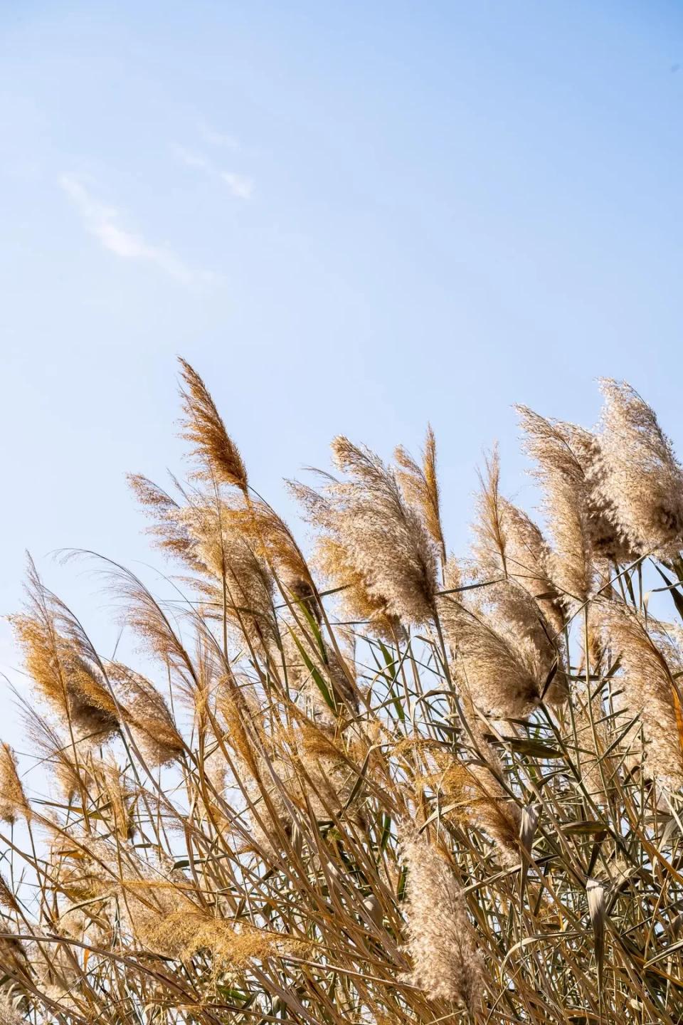 奇骏2021四驱豪华版落地价明细,奇骏4x4四驱2021款价格