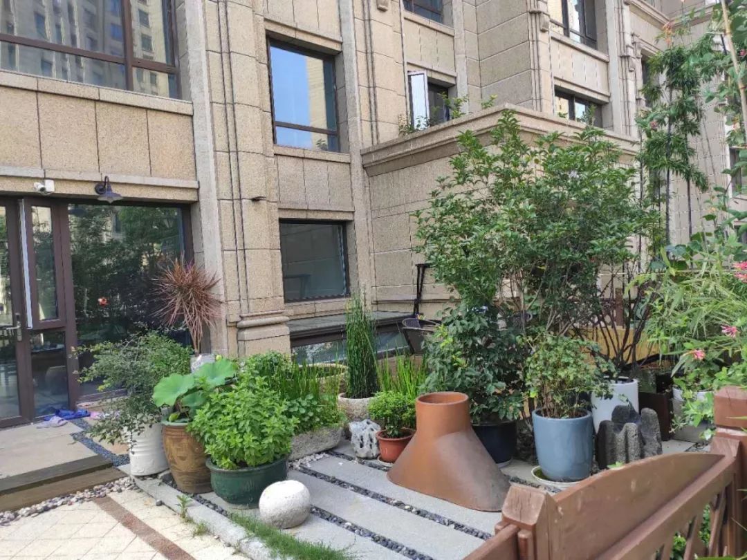 归来仍是少年古玩市场,归来仍是少年季羡林