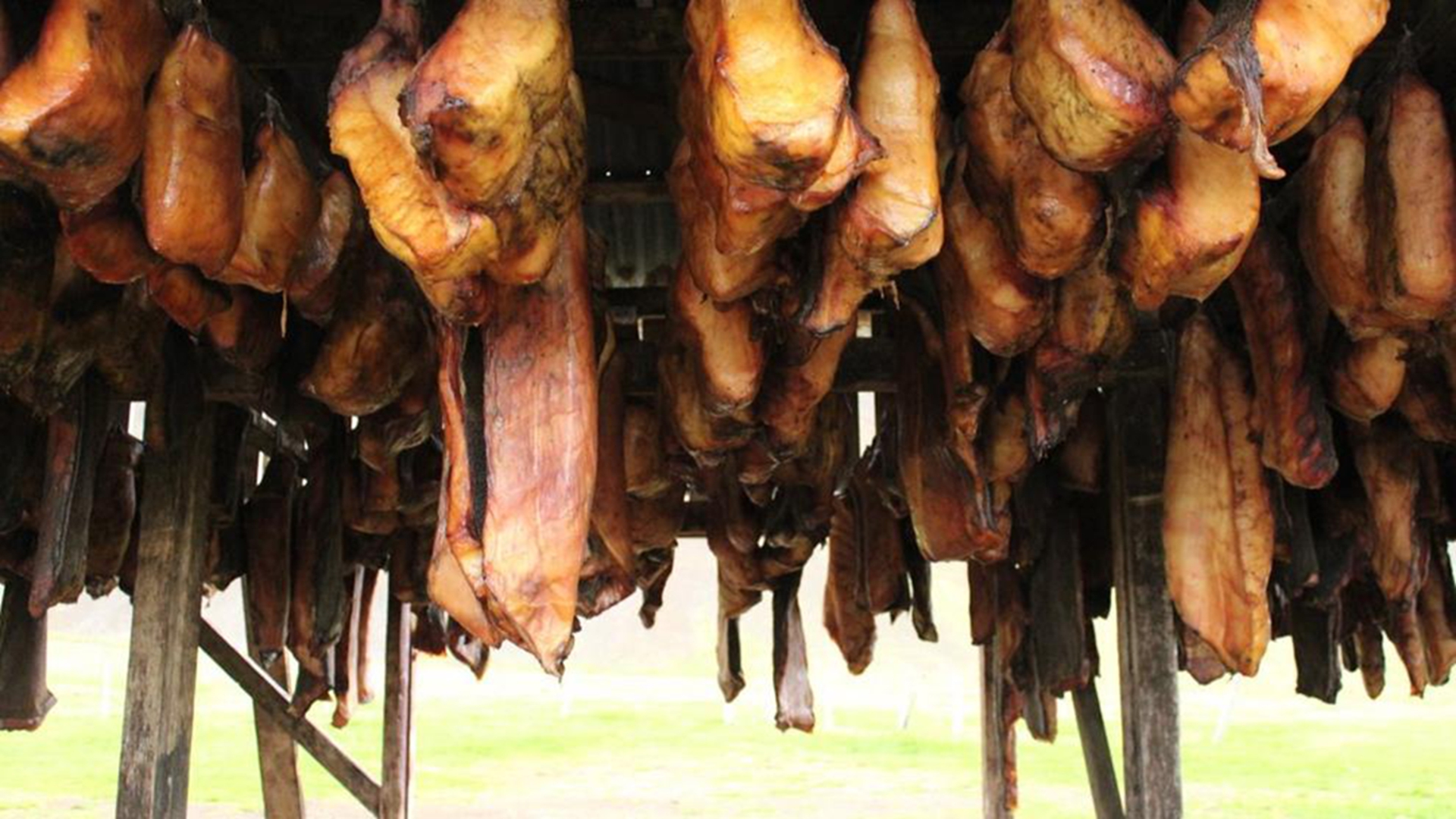 暗黑美食推荐,最恶心的十大黑暗美食