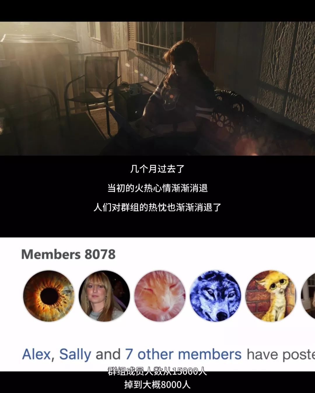 猫咪杀人案真实案例,猫咪被谋杀肢解抛尸案