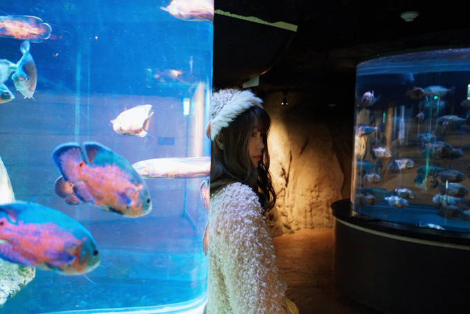 去韩国必买清单,韩国购物攻略衣服