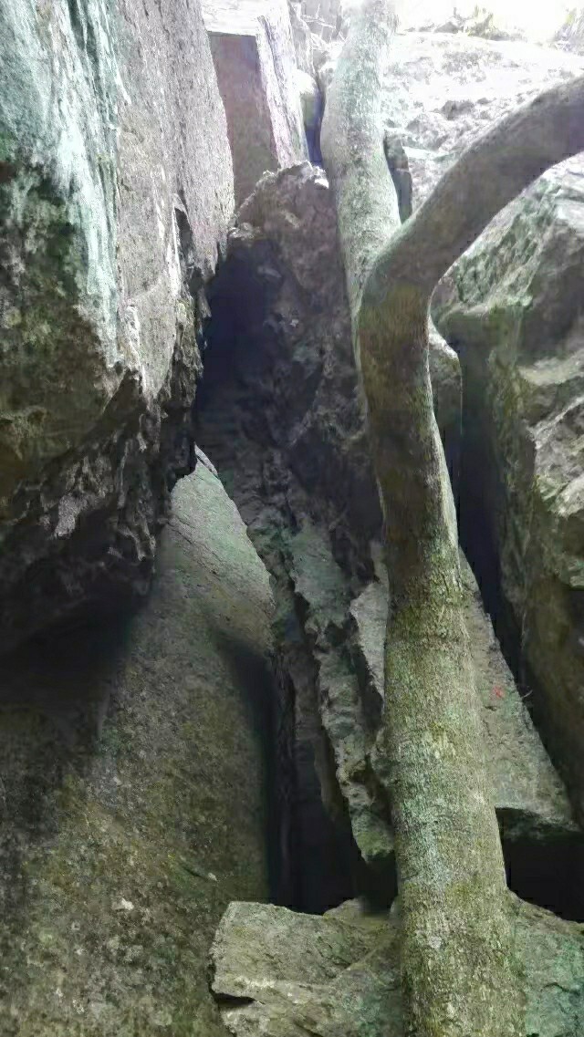 鬼斧神工崖柏,鬼斧神工刺青工作室