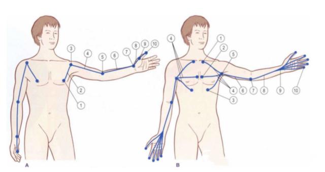 一肩挑5年的弊端,一肩挑实施细则