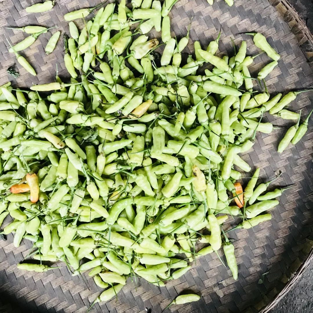 四川泡泡菜的正确方法,四川人怎么泡泡菜的