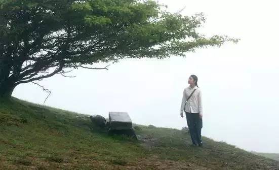 哪些电视剧是在湖北拍的,有哪些电影是在武汉取景