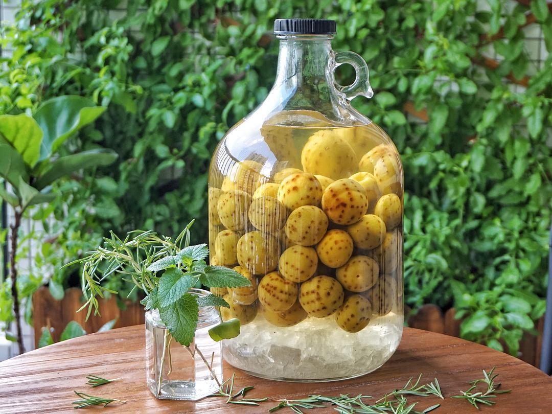 青梅酒最好选什么白酒,青梅酒喝起来口感和白酒一样