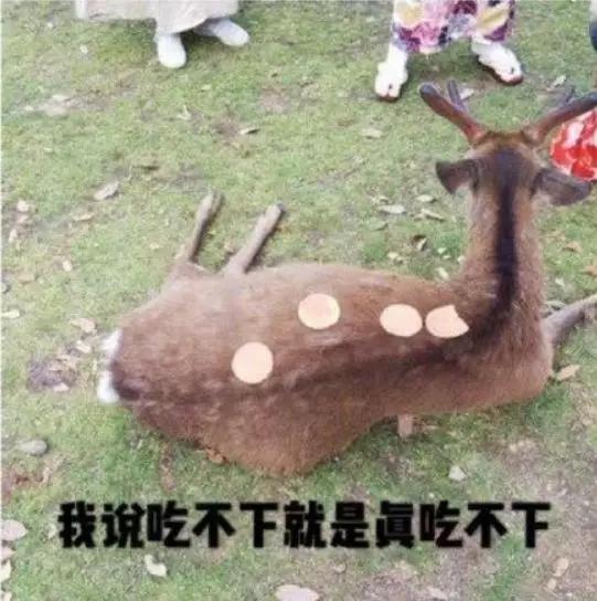 因疫情影响旅游,受疫情影响的日本旅游业