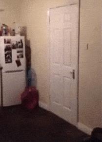 搞笑合集：我有一个大胆的想法，拼个新郎，酒席红包对半分