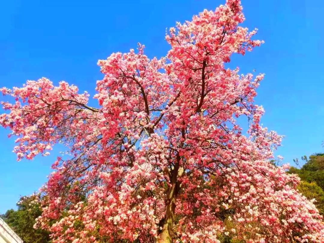 珠海买房过冬真实感受,在珠海买房十大秘诀