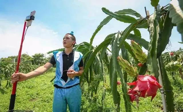 鲜丰水果23年营收,鲜丰水果先锋