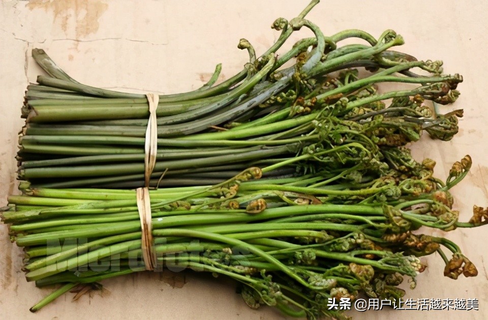 龙胜哪儿有好看的景区,广西的龙胜有什么好玩的