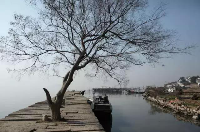 藏在山里苏州民宿,苏州一湖一宅民宿自由行热门攻略