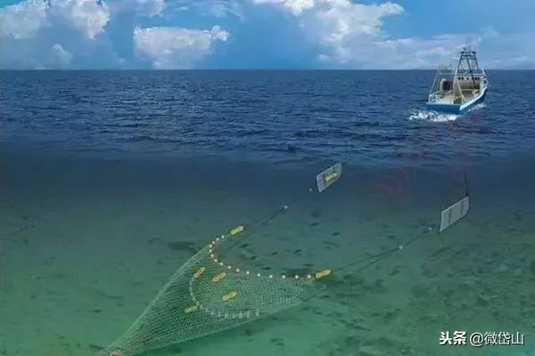 雷达网带鱼和普通带鱼哪个好吃,流网带鱼和雷达网带鱼有什么区别