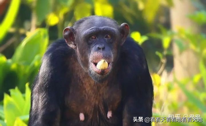 男人都是下半身动物？BBC来揭秘了！