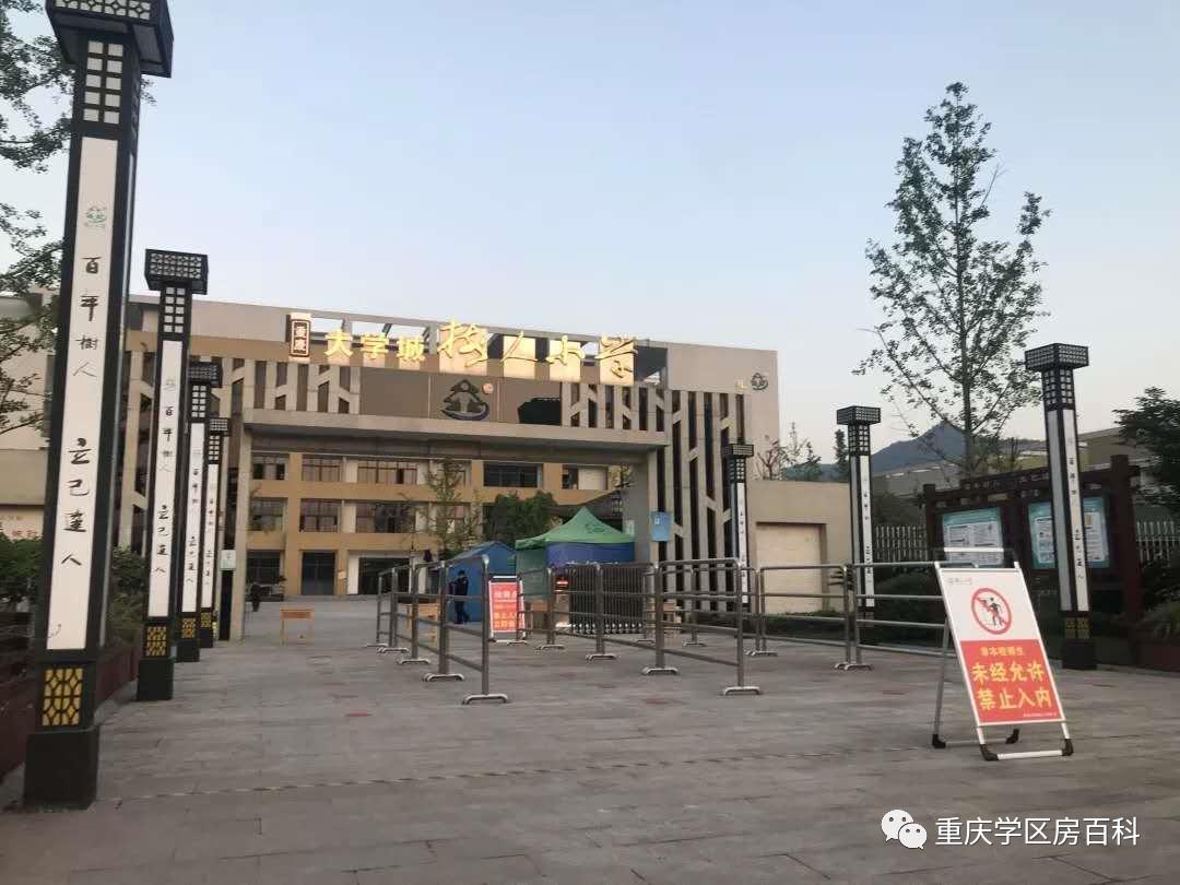 重庆树人小学分校有哪些,树人小学分校怎么样