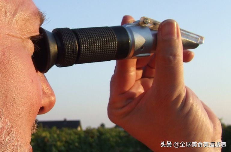 法国葡萄园工人收入,在法国葡萄酒厂打工赚钱吗